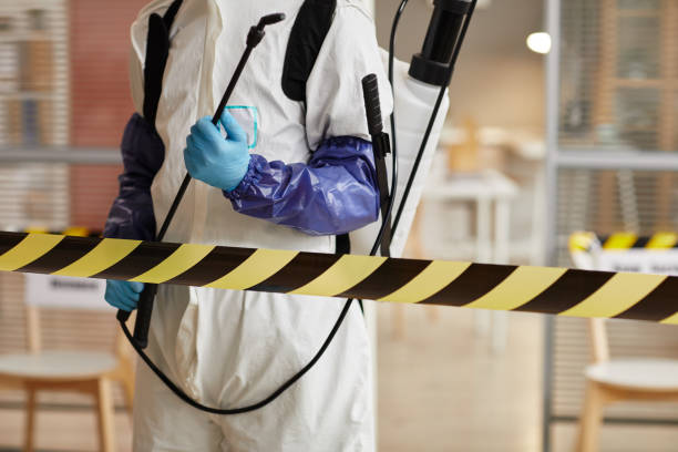 Professional Sewage Cleanup technician working in Denton, MD